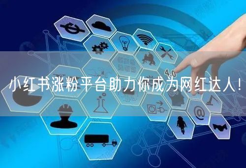 小红书涨粉平台助力你成为网红达人！