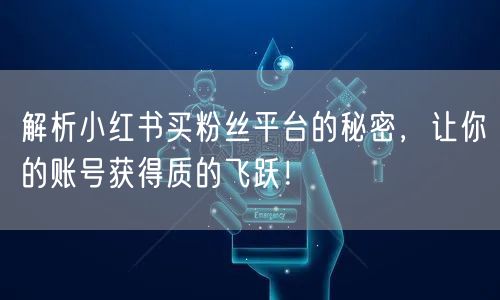 解析小红书买粉丝平台的秘密，让你的账号获得质的飞跃！