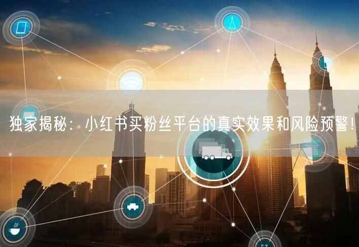 独家揭秘：小红书买粉丝平台的真实效果和风险预警！