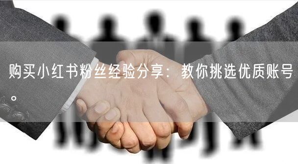 购买小红书粉丝经验分享：教你挑选优质账号。