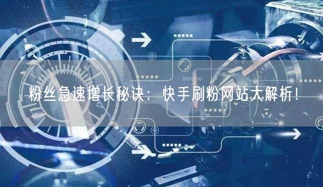 粉丝急速增长秘诀：快手刷粉网站大解析！