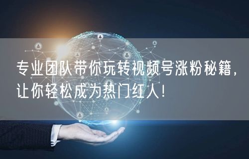 专业团队带你玩转视频号涨粉秘籍，让你轻松成为热门红人！