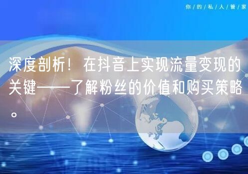 深度剖析！在抖音上实现流量变现的关键——了解粉丝的价值和购买策略。