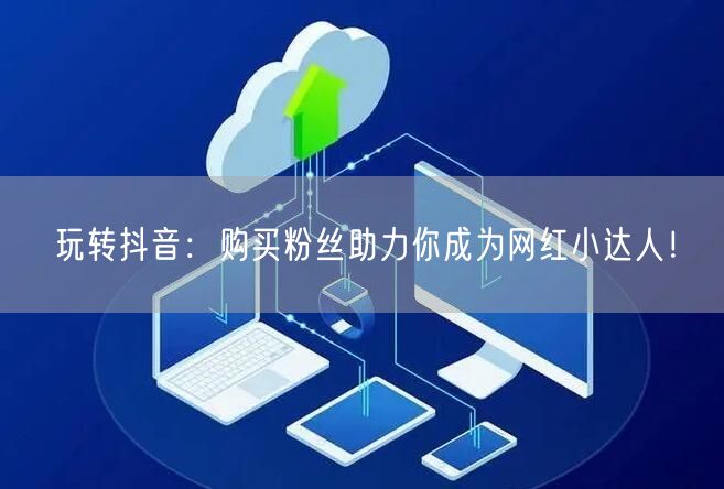 玩转抖音：购买粉丝助力你成为网红小达人！
